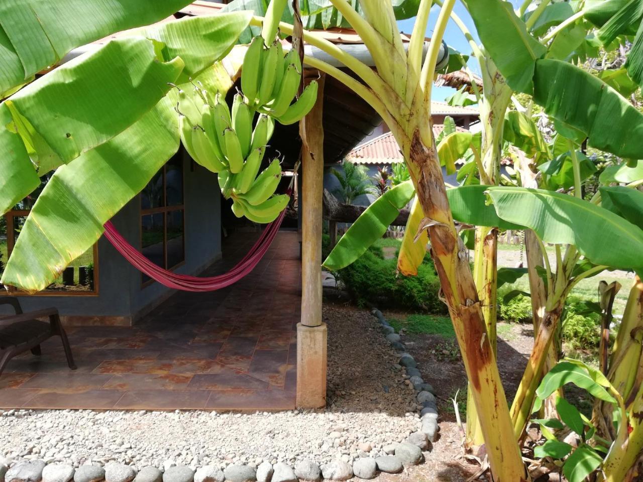 Punta Duarte Garden